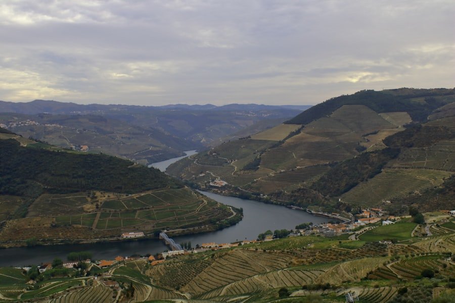 Douro Valley