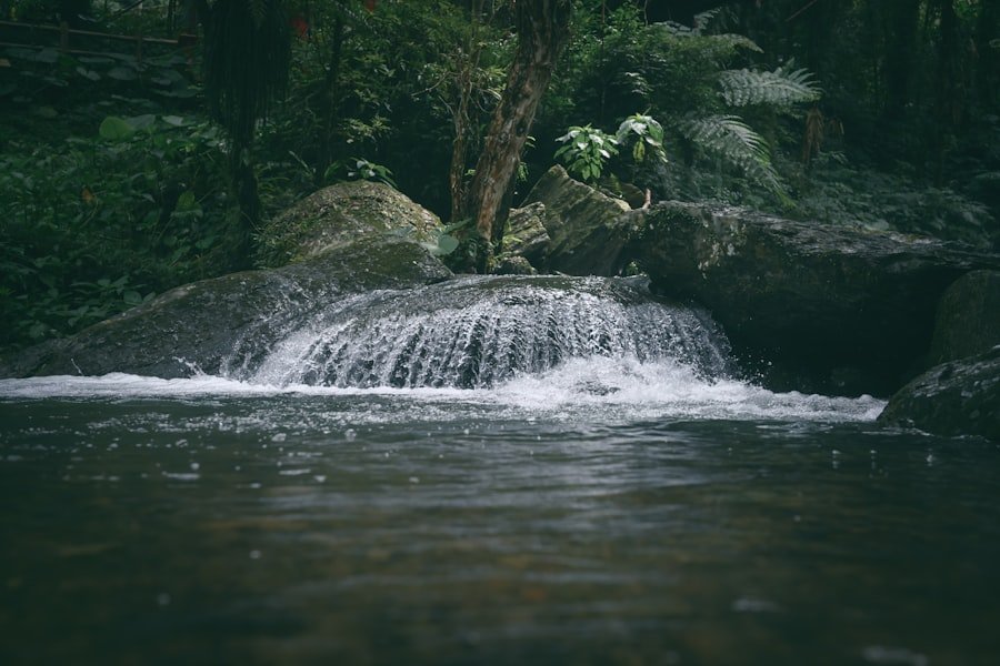 Photo Passive Income Streams