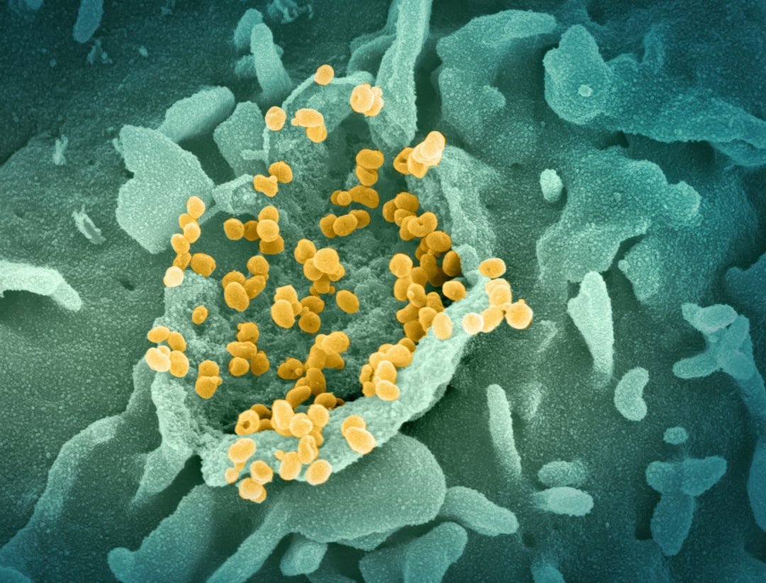 Photo Antimicrobial Resistance