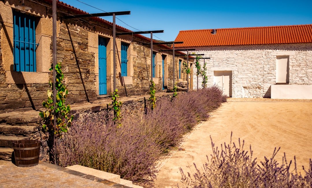 Photo Douro Valley
